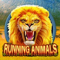 CQ9